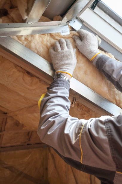 Best Commercial Insulation in Marseles, IL